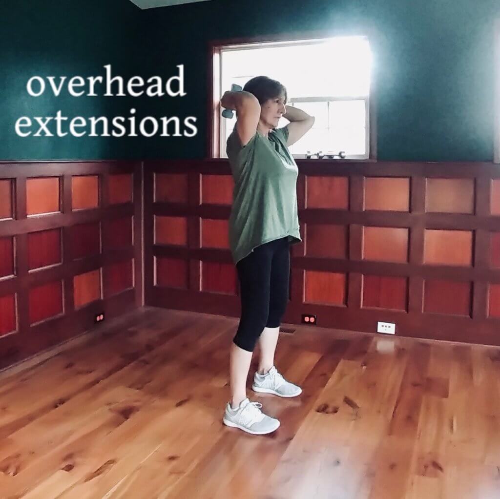 overhead extension arm workout