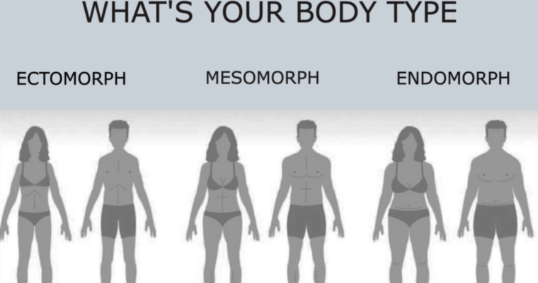 What Is An Endomorph Body Type? And Can An Endomorph Lose Weight?