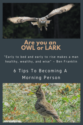 Are you a morning person or a night owl