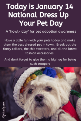 national dress up your pet day
