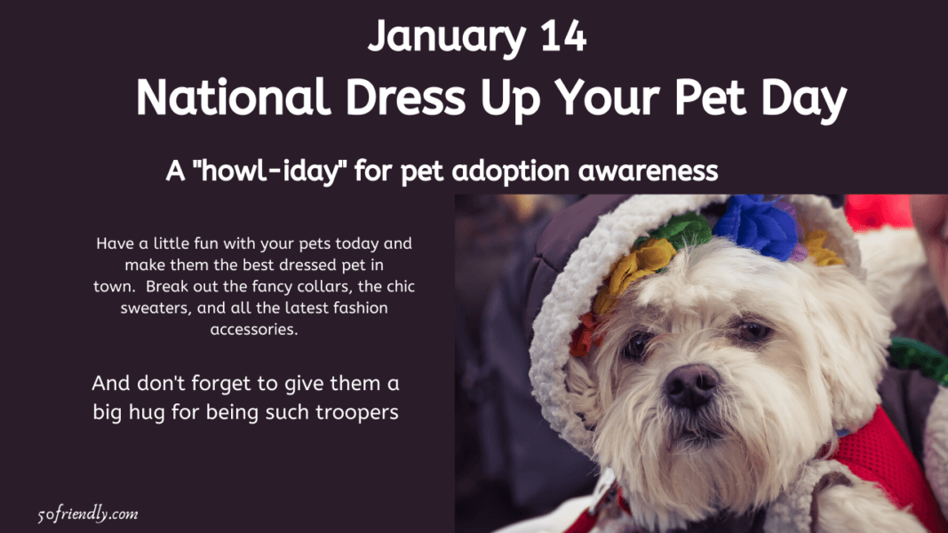 National Dress Up Your Pet Day January 14 50 Friendly