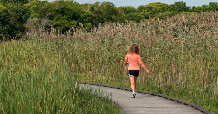 Walking For Exercise – How Much Should You Walk a Day