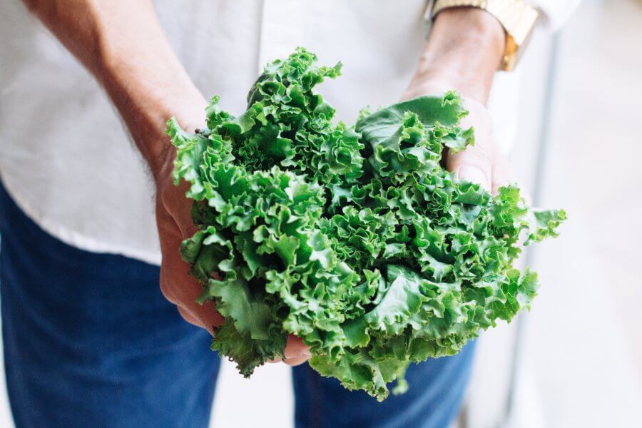 KALE IS KING / 5 THINGS YOU SHOULD KNOW ABOUT KALE