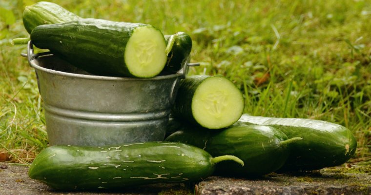 7 Tips For Growing Cucumbers