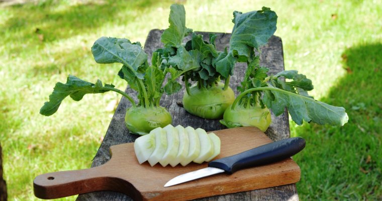 The ABC List Of The Healthiest Vegetables: K for KALE and KOHLRABI