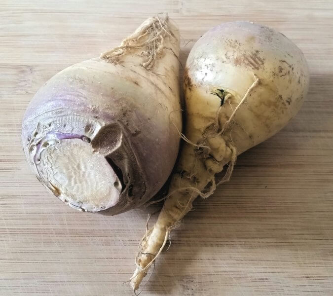 ABC's of the healthiest vegetable on earth - rutabaga