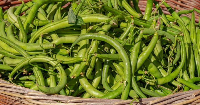 The ABC List Of The Healthiest Vegetables: G and H for GREEN BEANS & HORSERADISH