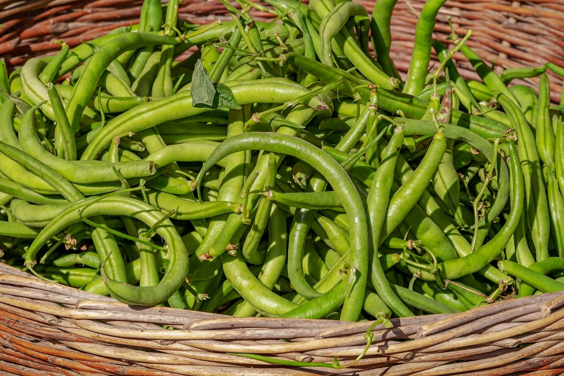 the-abc-list-of-the-healthiest-vegetables-g-and-h-for-green-beans