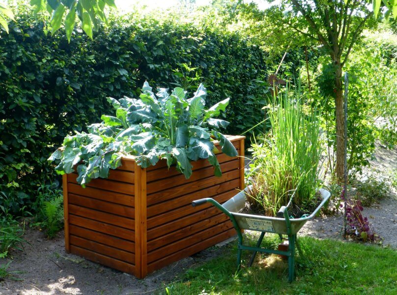 how to successfully grow vegetables in containers