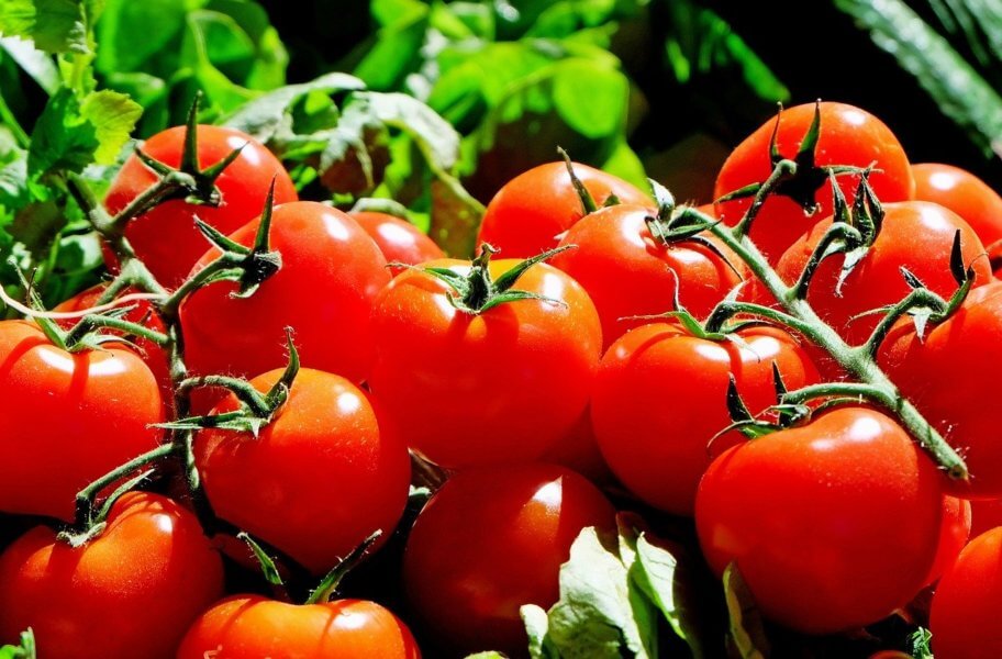 T List of the Healthiest Vegetables - TOMATOES AND TURNIPS