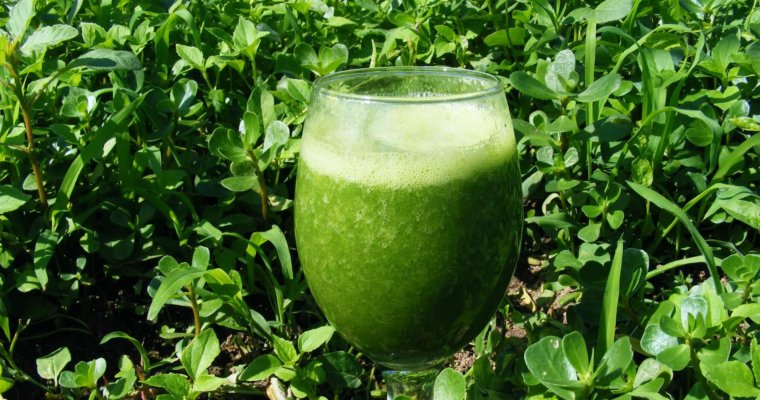 Spinach Avocado and Cucumber Acne Blasting Smoothie