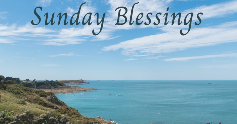 Super Soul Sunday – Gratitude