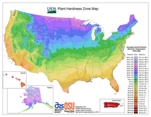 usda hardiness planting zones