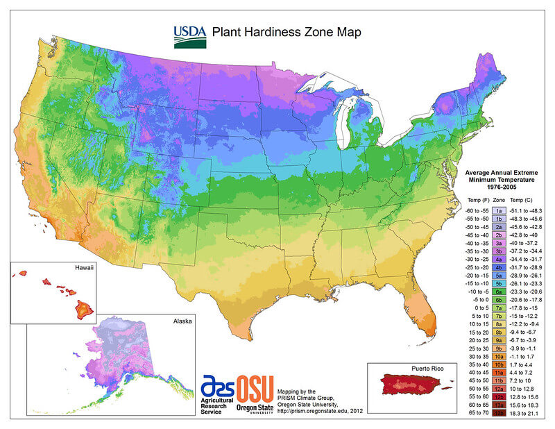 What To Plant In April Your Planting Guide For Zone 5 50 Friendly
