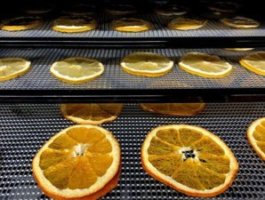 dehydrating recipes