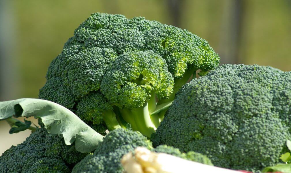 abc list of the healthiest vegetables broccoli