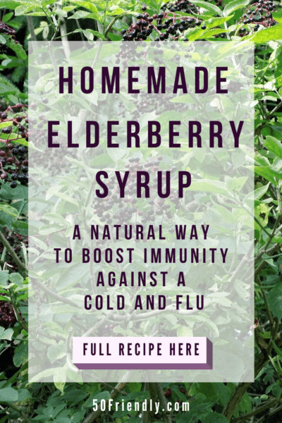 homemade elderberry syrup