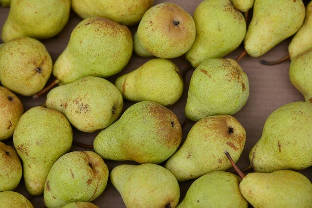 long term pear storage