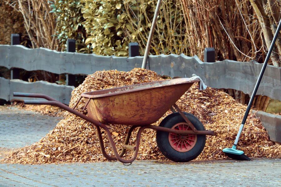 june 6th - national gardening exercise day